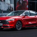 WhatsApp Image 2025-12-14 at 4.10.47 PM (1)