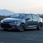 WhatsApp Image 2025-12-14 at 4.24.16 PM