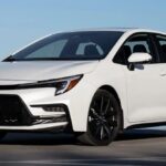 WhatsApp Image 2025-12-14 at 4.24.17 PM (1)